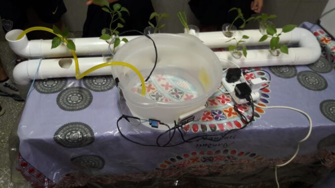 Robótica Cultivo Hidropónico