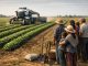 Robot agrícola trabajo rural