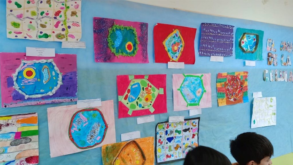 arte educación ciencia